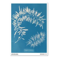 Anna Atkins – Sargassum plumosum (1843-1853)