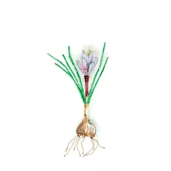 Broche – Saffron Crocus Brooch Pin