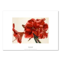 Inge Ellegaard – Amaryllis 6 (1993)