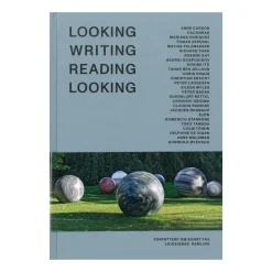 Looking Writing Reading Looking