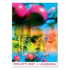 Pipilotti Rist – Another Body (2008-2015)