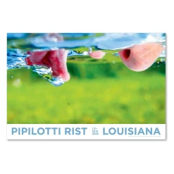 Pipilotti Rist – Mercy Garden Retour Retour (2014)