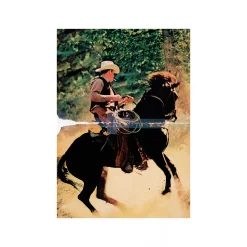 Postkort – Richard Prince – Untitled (Cowboy) 2016