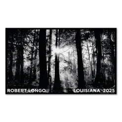 Robert Longo – Untitled (Hercynian)