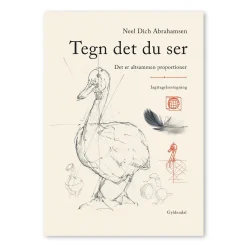 Tegn det du ser