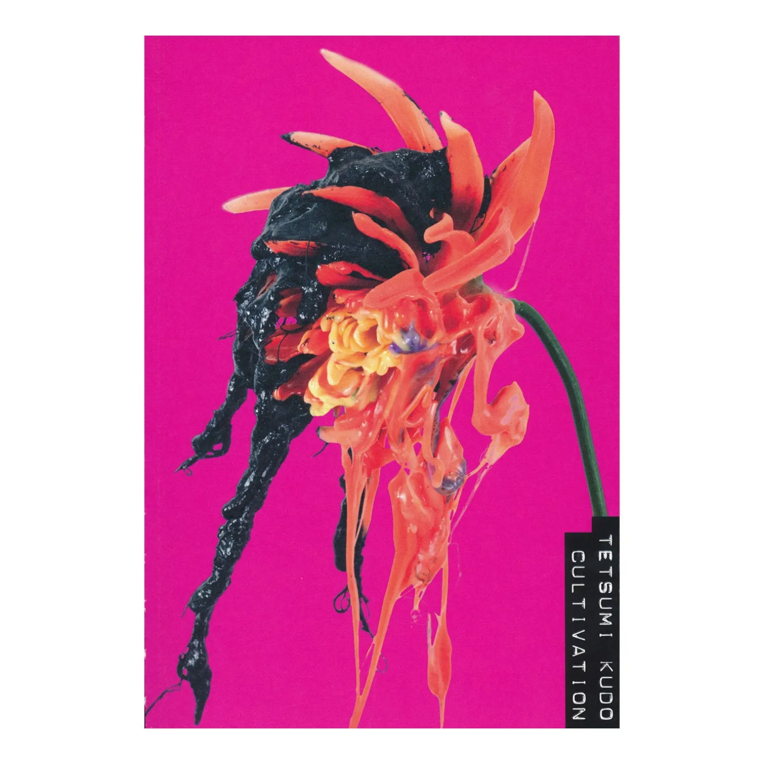 Tetsumi Kudo katalog (English)