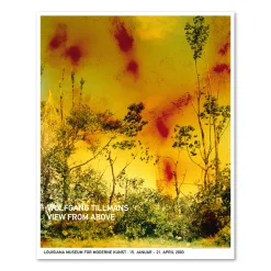 Wolfgang Tillmans – Icestorm (2001)